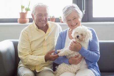 Pet Health Insurance, Pet Health Insurance, Montana